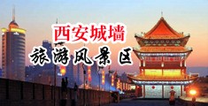 老司机骚骚操中国陕西-西安城墙旅游风景区