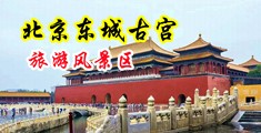 英美七十路老骚逼中国北京-东城古宫旅游风景区